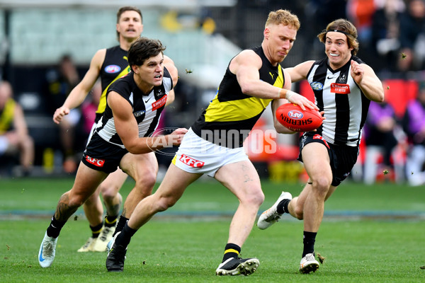 AFL 2024 Round 20 - Collingwood v Richmond - A-52244153