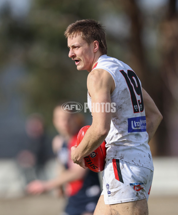 VFL 2024 Round 18 - Coburg v Frankston - A-52244156