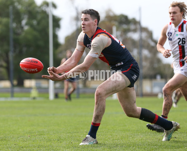 VFL 2024 Round 18 - Coburg v Frankston - A-52244157