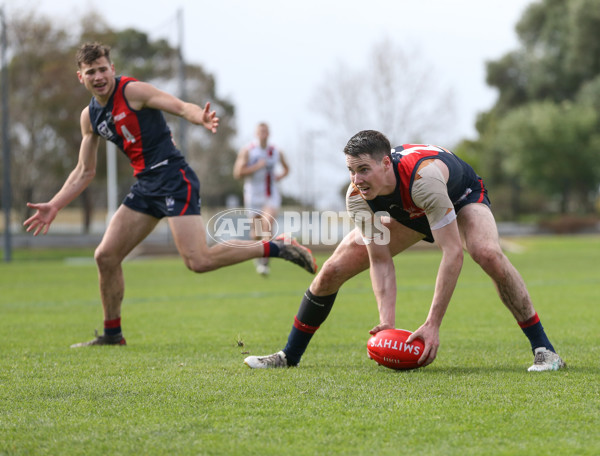 VFL 2024 Round 18 - Coburg v Frankston - A-52244158