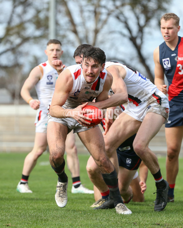 VFL 2024 Round 18 - Coburg v Frankston - A-52244159