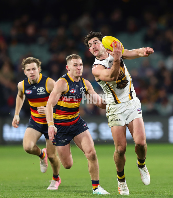 AFL 2024 Round 20 - Adelaide v Hawthorn - A-52246314