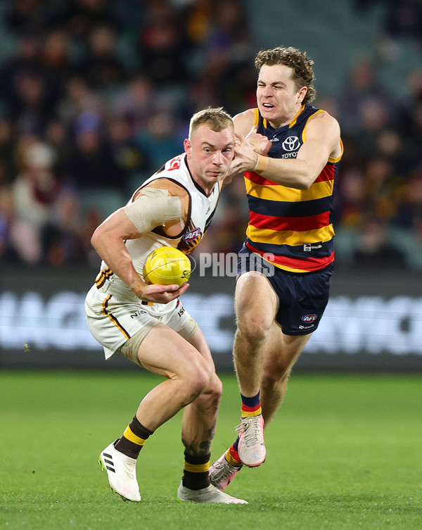 AFL 2024 Round 20 - Adelaide v Hawthorn - A-52246322