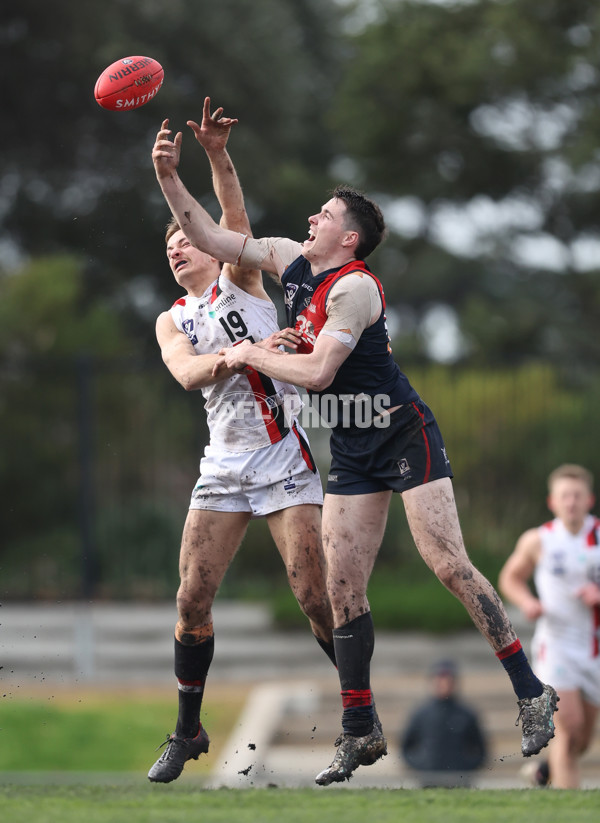 VFL 2024 Round 18 - Coburg v Frankston - A-52246327