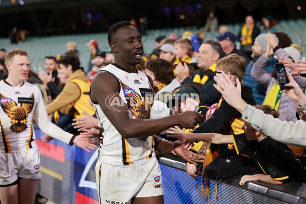 AFL 2024 Round 20 - Adelaide v Hawthorn - A-52246343