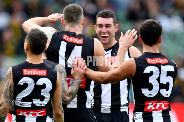 AFL 2024 Round 20 - Collingwood v Richmond - A-52246347