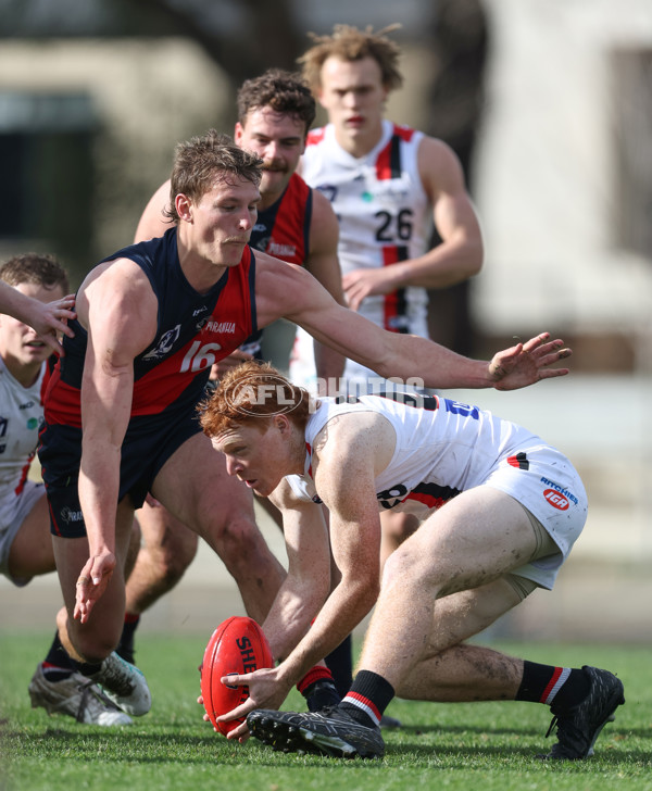 VFL 2024 Round 18 - Coburg v Frankston - A-52246619