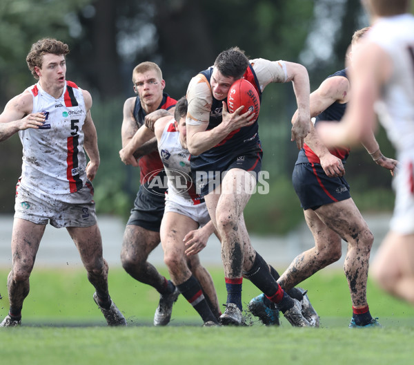 VFL 2024 Round 18 - Coburg v Frankston - A-52246643