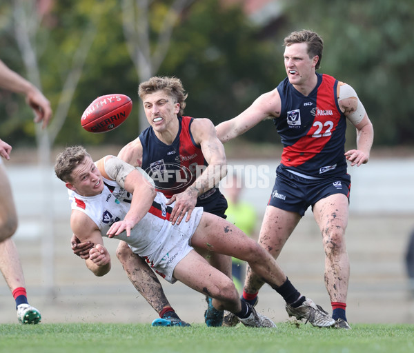 VFL 2024 Round 18 - Coburg v Frankston - A-52246645