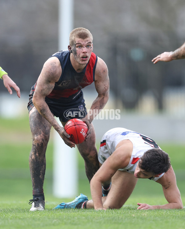 VFL 2024 Round 18 - Coburg v Frankston - A-52246654