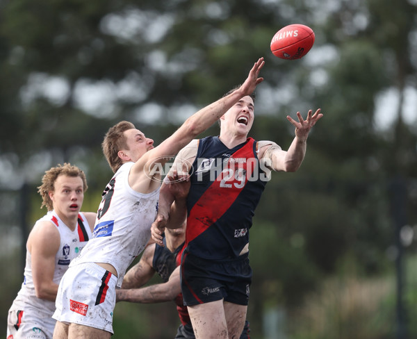 VFL 2024 Round 18 - Coburg v Frankston - A-52246655