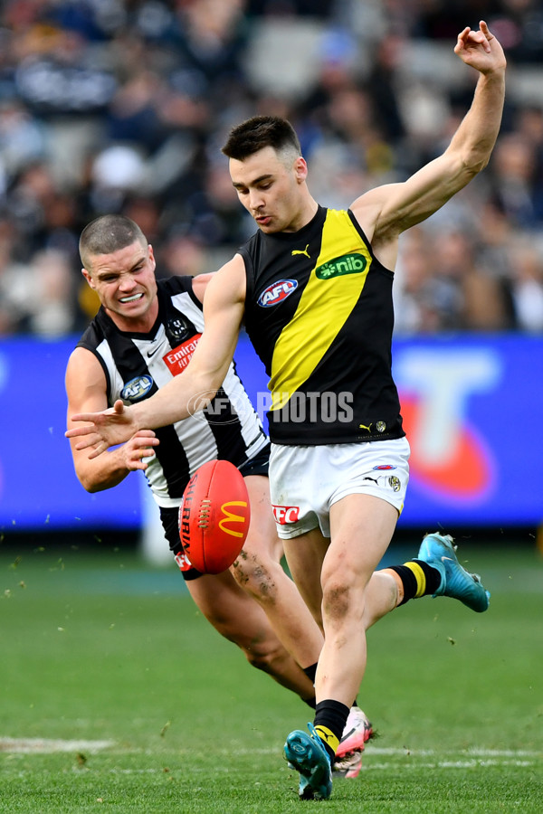 AFL 2024 Round 20 - Collingwood v Richmond - A-52246666