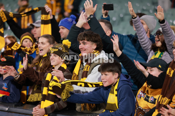 AFL 2024 Round 20 - Adelaide v Hawthorn - A-52246669