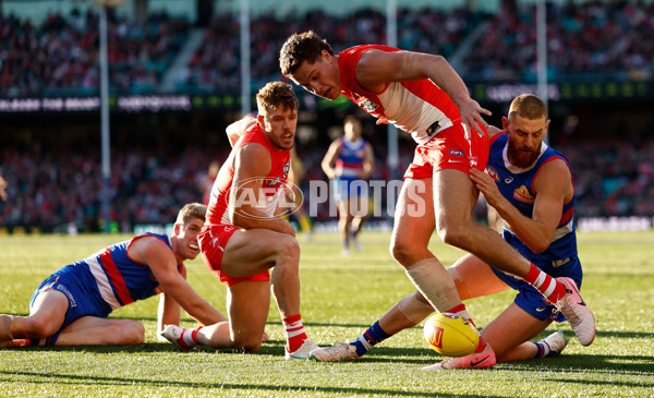 AFL 2024 Round 20 - Sydney v Western Bulldogs - A-52248737
