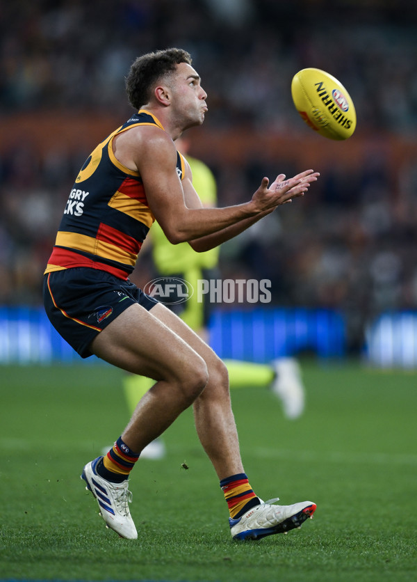 AFL 2024 Round 20 - Adelaide v Hawthorn - A-52248773