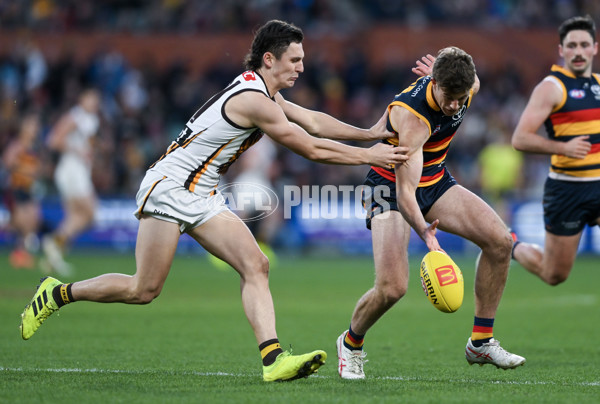 AFL 2024 Round 20 - Adelaide v Hawthorn - A-52248777