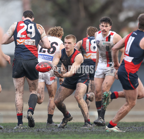 VFL 2024 Round 18 - Coburg v Frankston - A-52248778