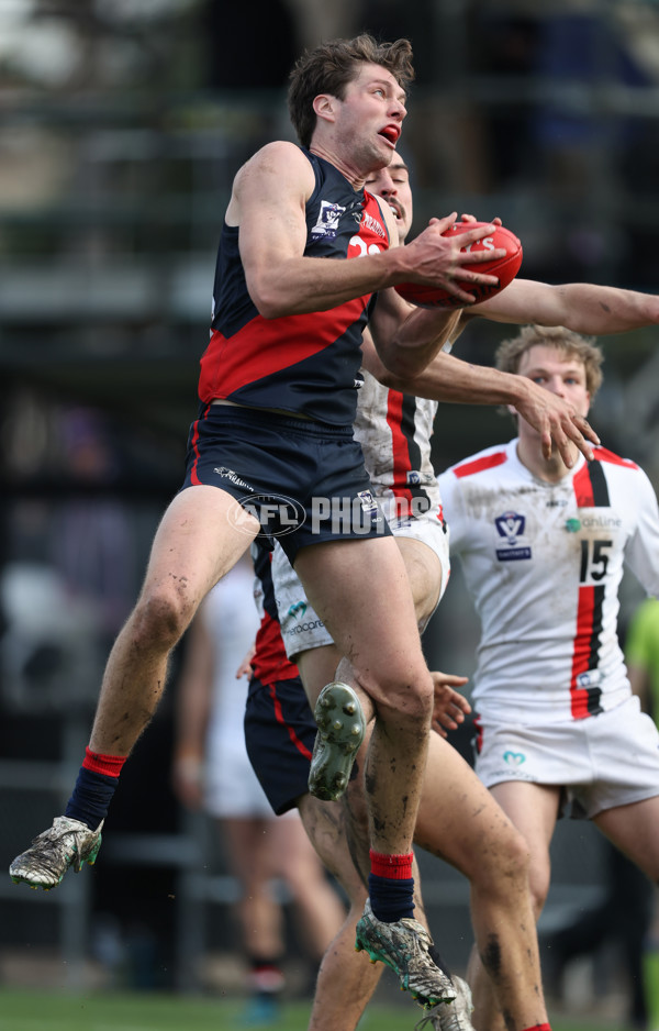 VFL 2024 Round 18 - Coburg v Frankston - A-52248779