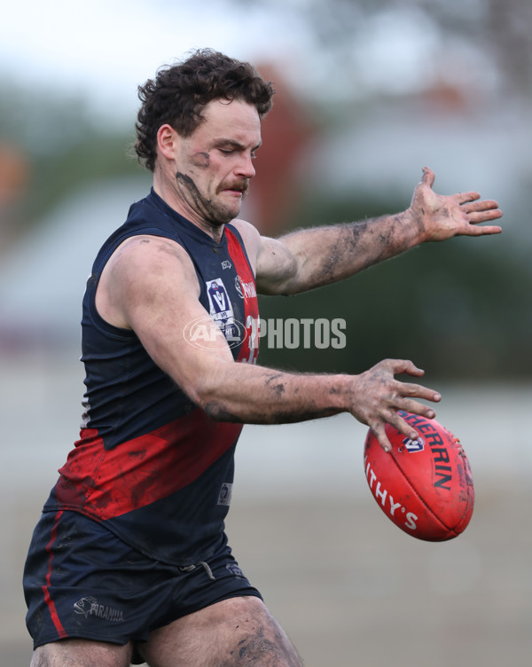 VFL 2024 Round 18 - Coburg v Frankston - A-52248782