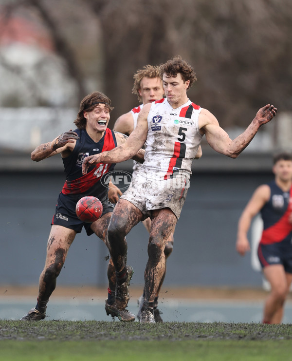 VFL 2024 Round 18 - Coburg v Frankston - A-52248784