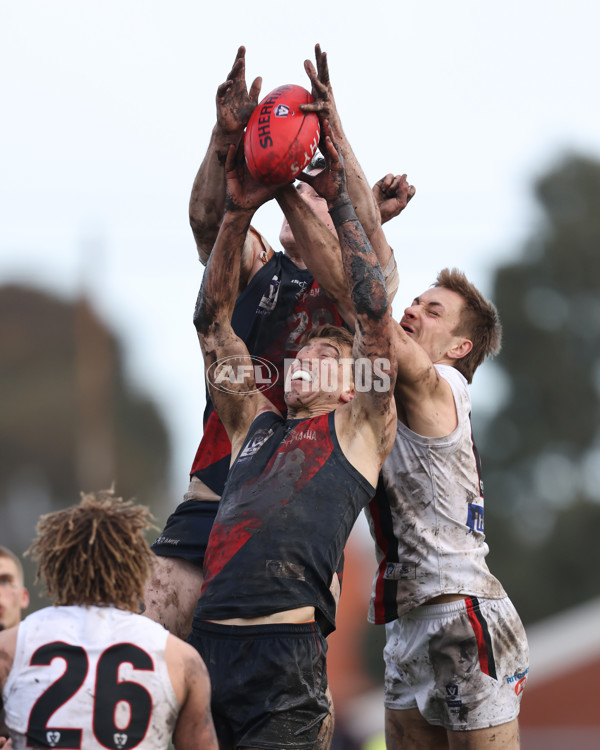 VFL 2024 Round 18 - Coburg v Frankston - A-52248789