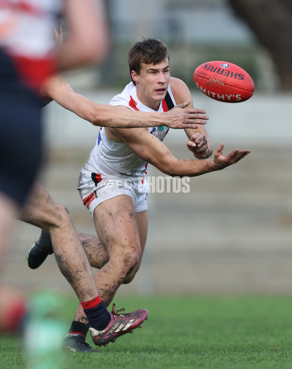 VFL 2024 Round 18 - Coburg v Frankston - A-52248793