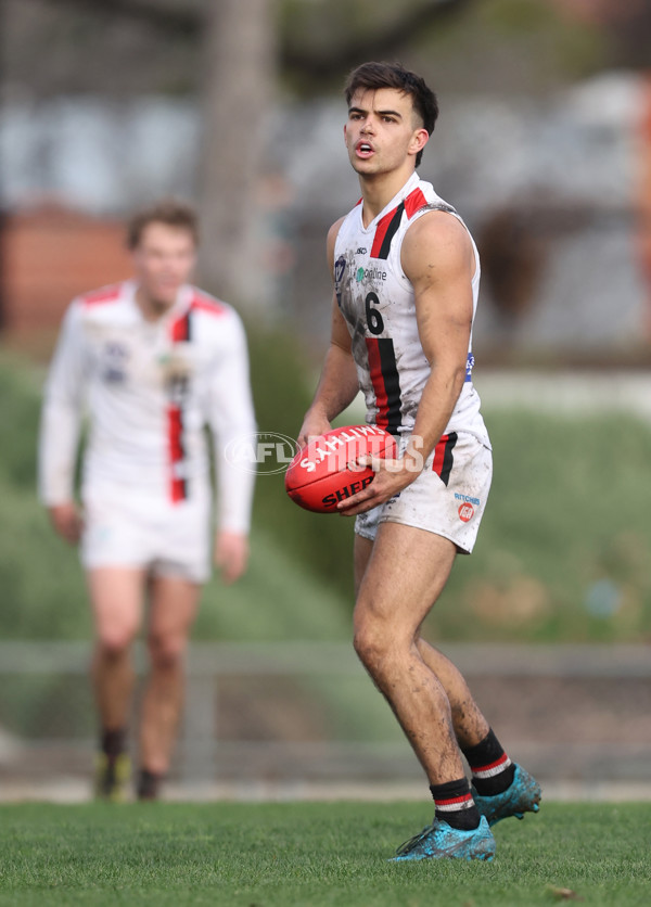 VFL 2024 Round 18 - Coburg v Frankston - A-52248799