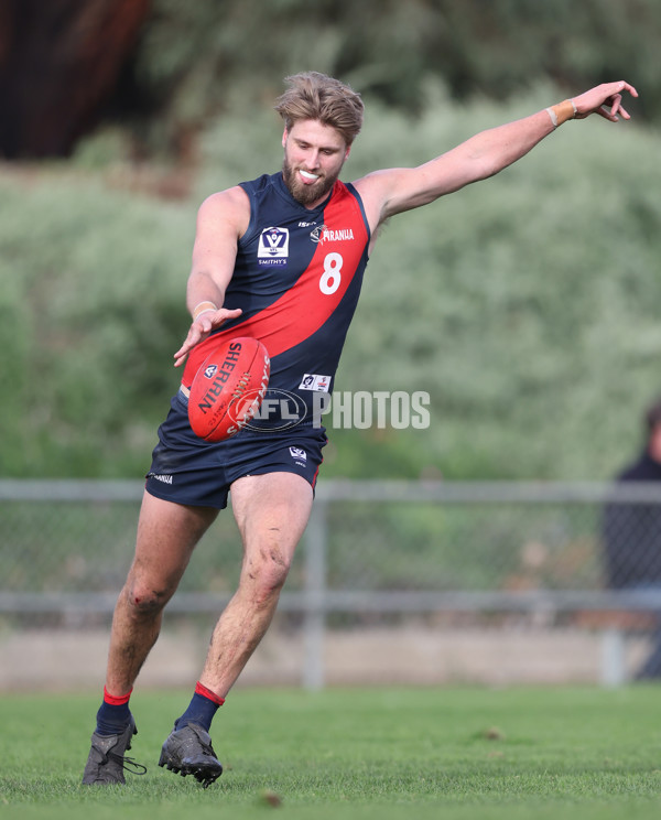 VFL 2024 Round 18 - Coburg v Frankston - A-52248800