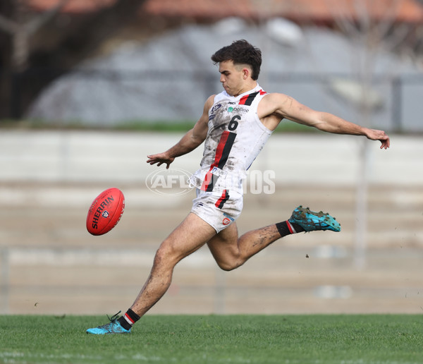 VFL 2024 Round 18 - Coburg v Frankston - A-52248808