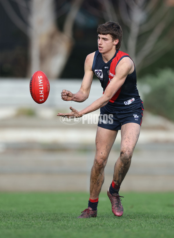 VFL 2024 Round 18 - Coburg v Frankston - A-52248812