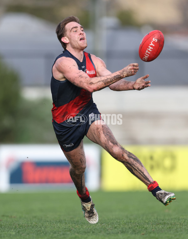 VFL 2024 Round 18 - Coburg v Frankston - A-52248814