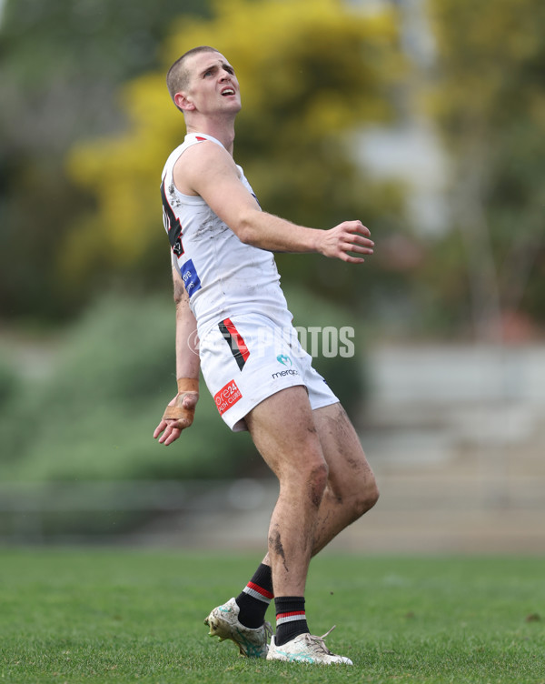 VFL 2024 Round 18 - Coburg v Frankston - A-52249119