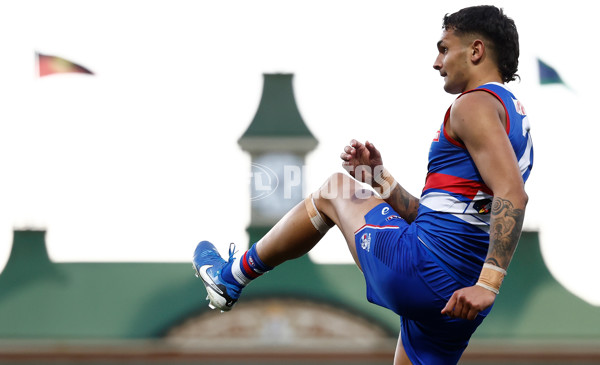 AFL 2024 Round 20 - Sydney v Western Bulldogs - A-52249126