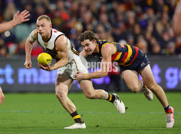 AFL 2024 Round 20 - Adelaide v Hawthorn - A-52249166