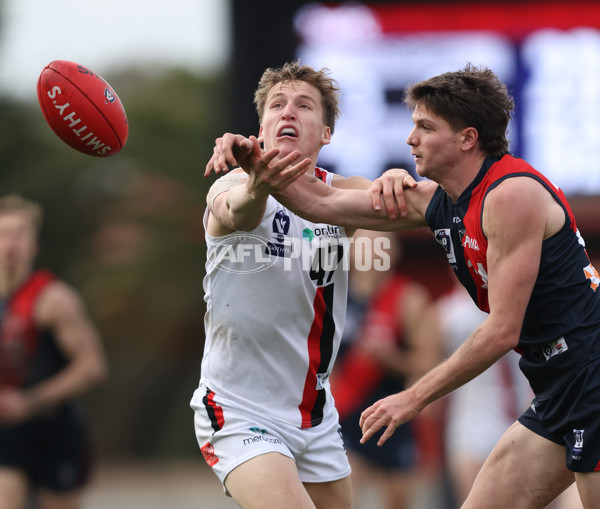 VFL 2024 Round 18 - Coburg v Frankston - A-52250655