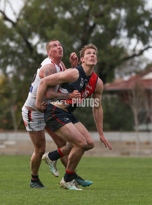 VFL 2024 Round 18 - Coburg v Frankston - A-52250656