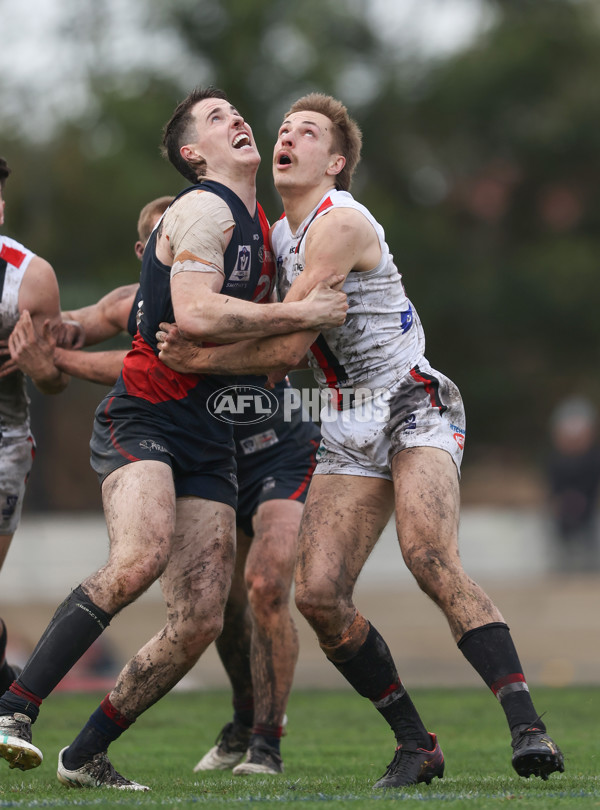 VFL 2024 Round 18 - Coburg v Frankston - A-52250681