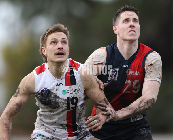 VFL 2024 Round 18 - Coburg v Frankston - A-52250682