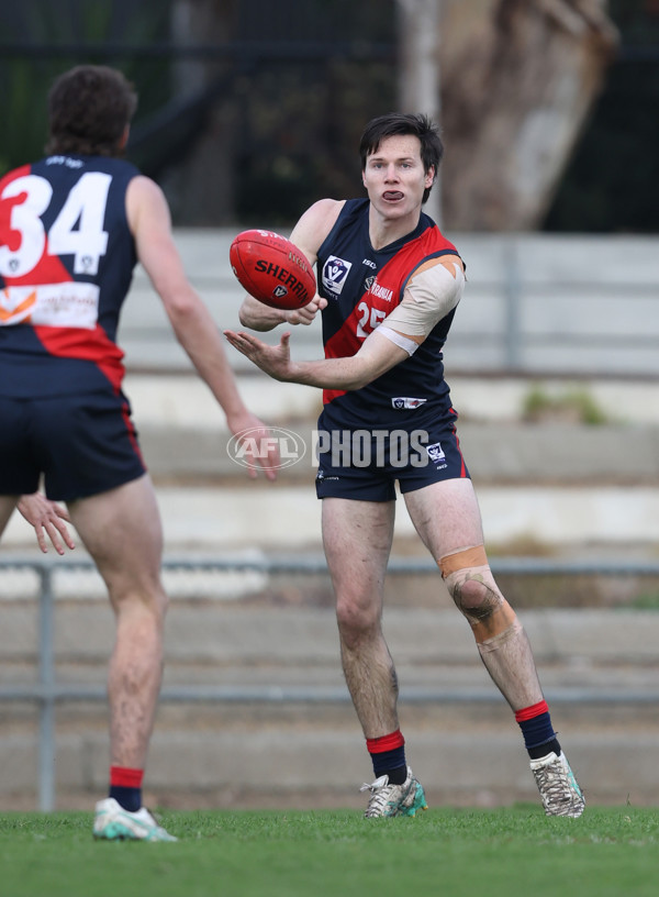 VFL 2024 Round 18 - Coburg v Frankston - A-52250685