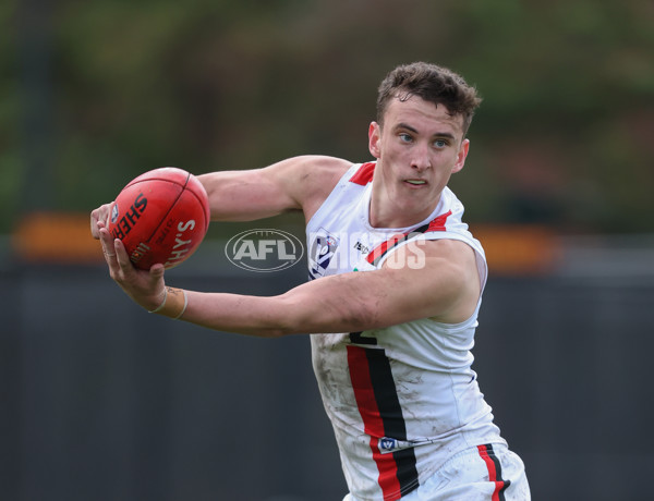 VFL 2024 Round 18 - Coburg v Frankston - A-52250686