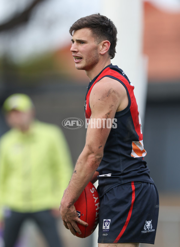 VFL 2024 Round 18 - Coburg v Frankston - A-52250687