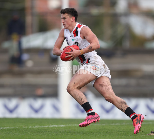 VFL 2024 Round 18 - Coburg v Frankston - A-52250688