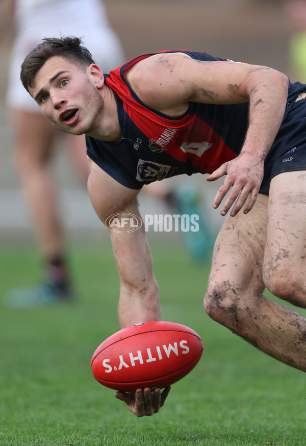 VFL 2024 Round 18 - Coburg v Frankston - A-52250689