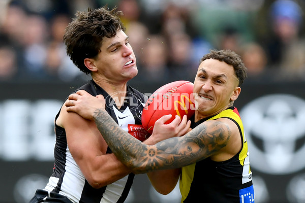 AFL 2024 Round 20 - Collingwood v Richmond - A-52250725