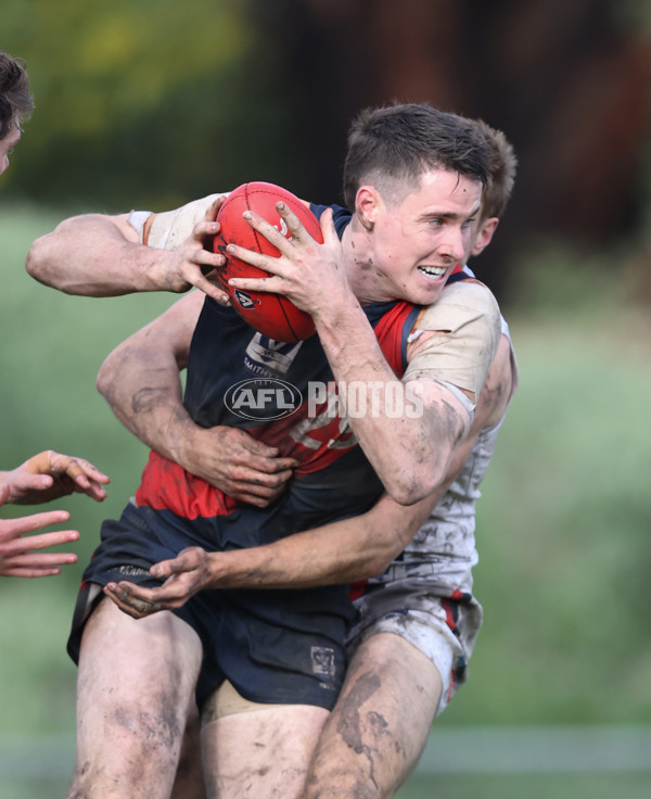 VFL 2024 Round 18 - Coburg v Frankston - A-52252350