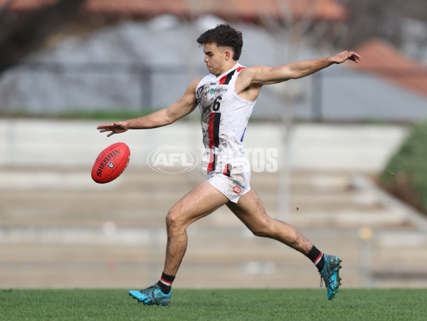 VFL 2024 Round 18 - Coburg v Frankston - A-52252351