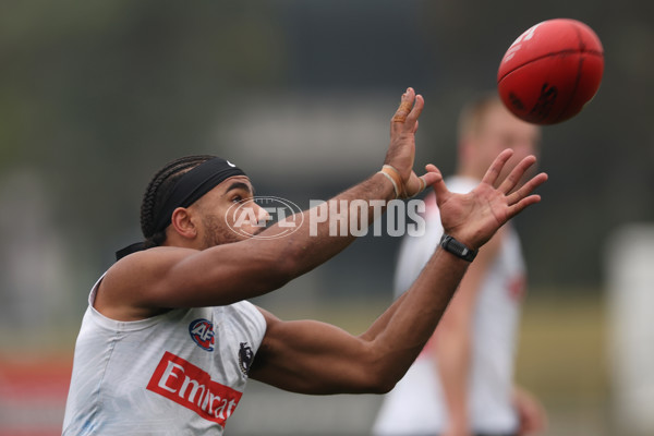 AFL 2024 Training - Collingwood 310724 - A-52433921