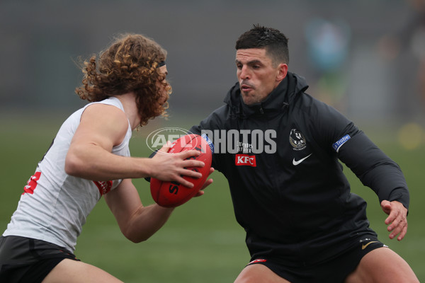 AFL 2024 Training - Collingwood 310724 - A-52433924