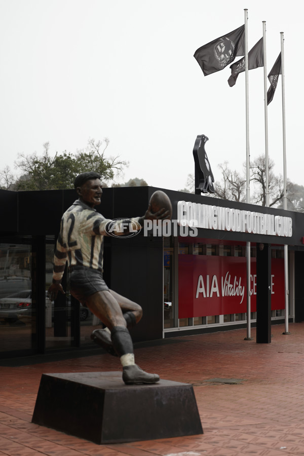 AFL 2024 Training - Collingwood 310724 - A-52434260