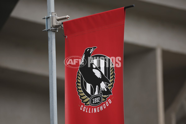 AFL 2024 Training - Collingwood 310724 - A-52434262